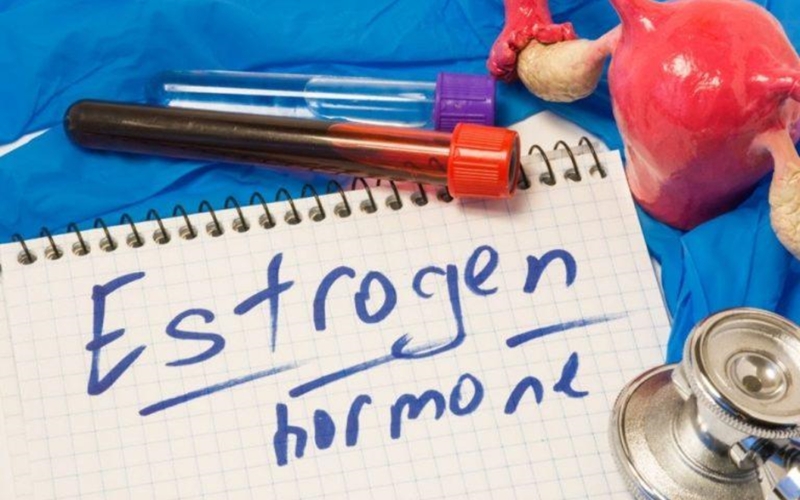 Hình 2: Hormone estrogen có thể giúp giảm nguy cơ mắc chứng sa sút trí tuệ