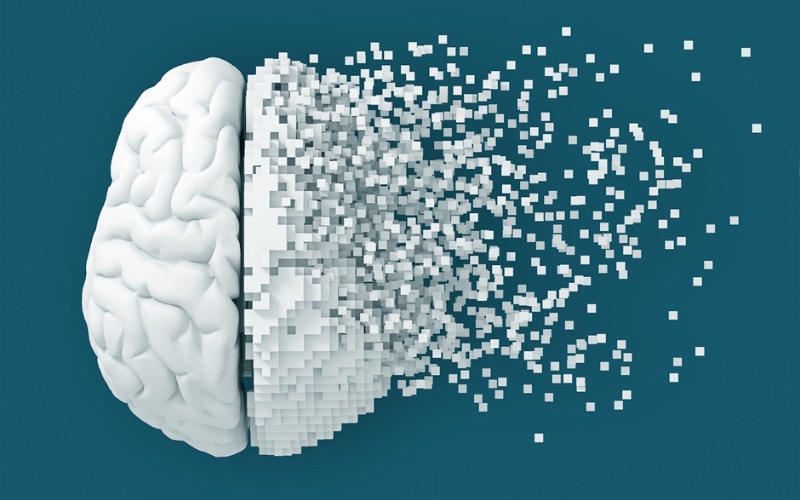 Não có thể bị tổn thương một phần hoặc toàn bộ khi mắc bệnh Alzheimer